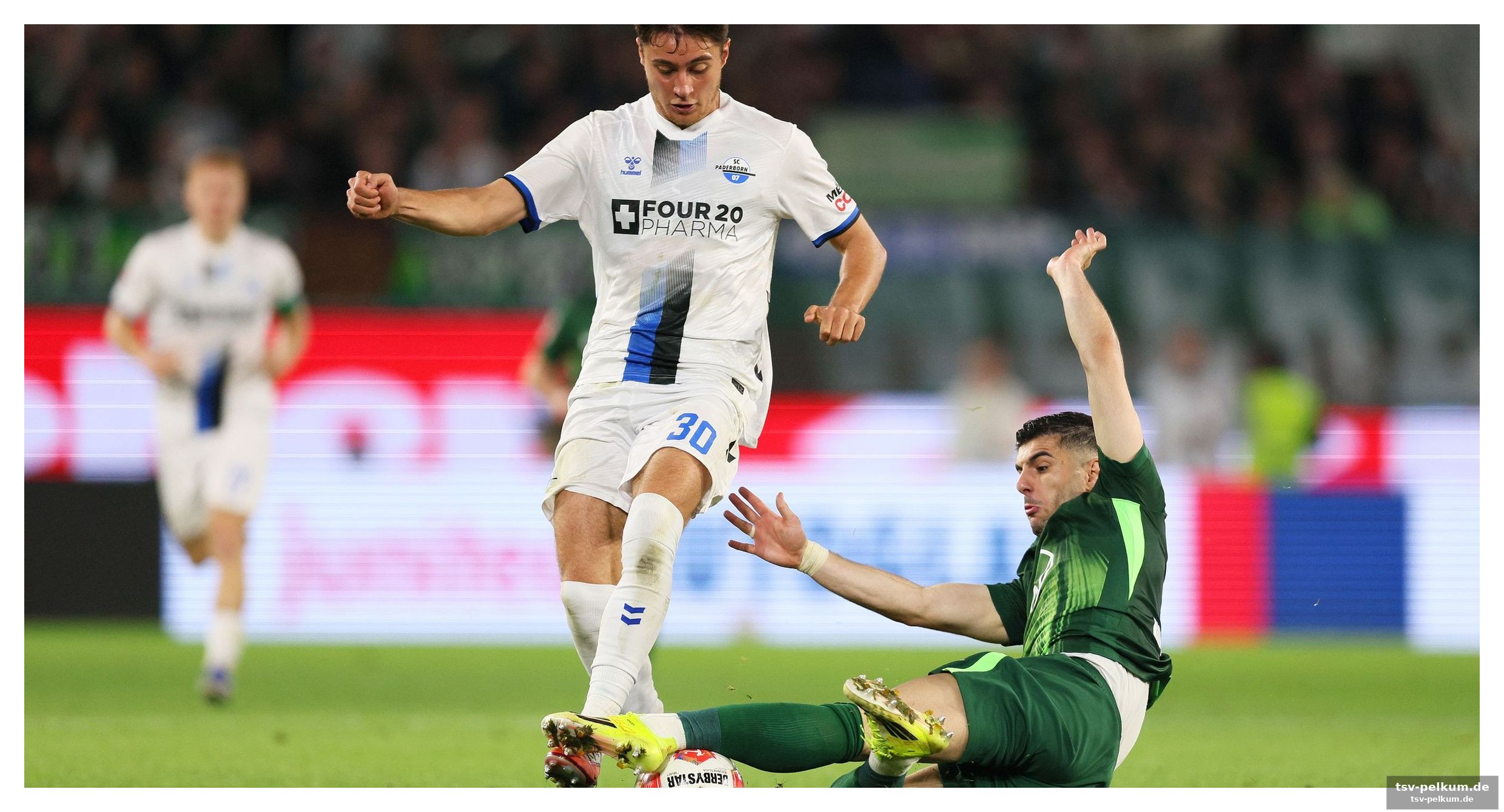 Kann paderborn die wolfshunger überraschen?