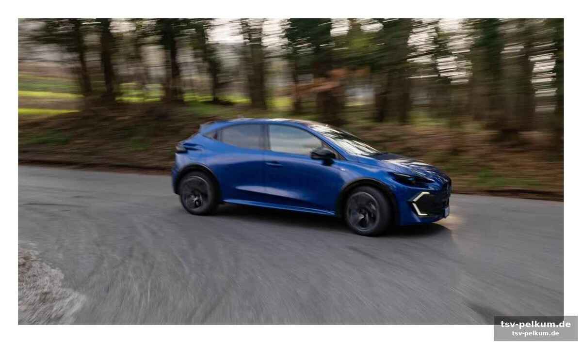 Renault setzt auf erfahrung im dual-fuel-bereich