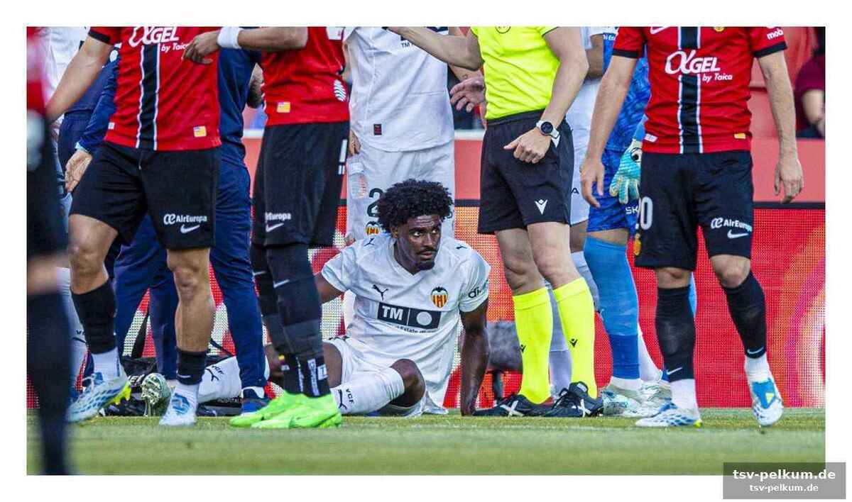 Ein holpriger weg: rückblick auf die saison