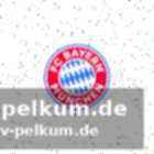 Kompany schätzt ilzers art und weise
