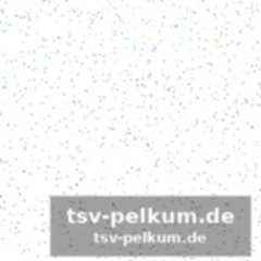 Letzter platz für palestra – oder bellanova?