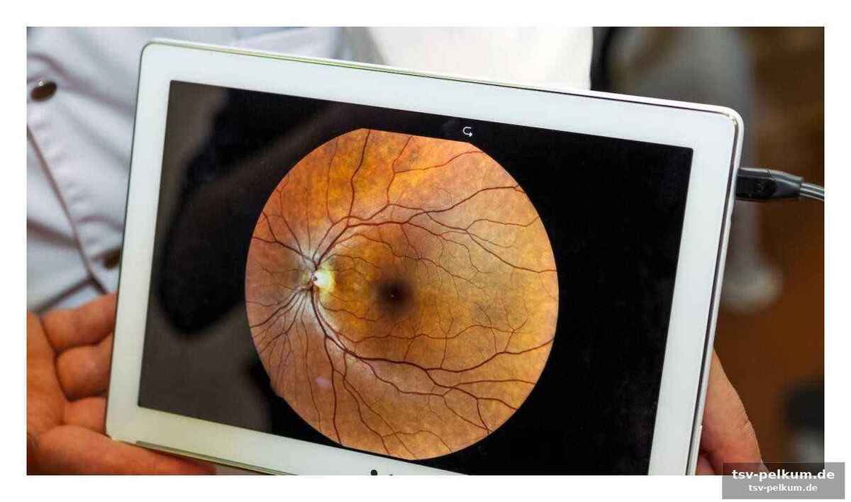 Die undurchdringliche barriere: das problem der medikamentenverabreichung