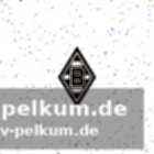 Ausfall für das spiel in frankfurt wahrscheinlich