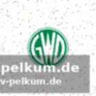 Kohlbacher als schlüsselspieler