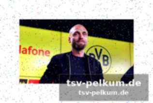 Neuer sportdirektor und budget: book bringt frischen wind