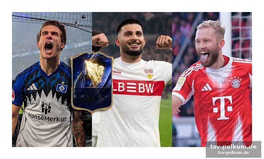 Wer sind die favoriten?
