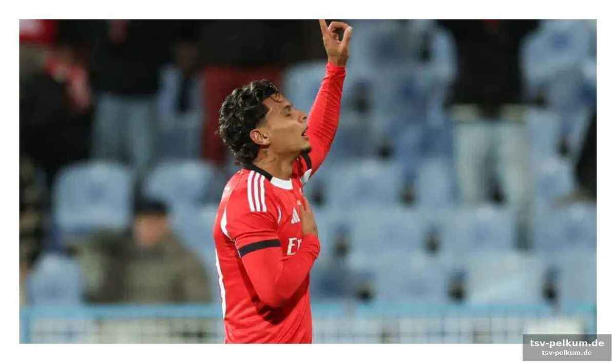 Die red devils peilen verstärkung im zentrum an