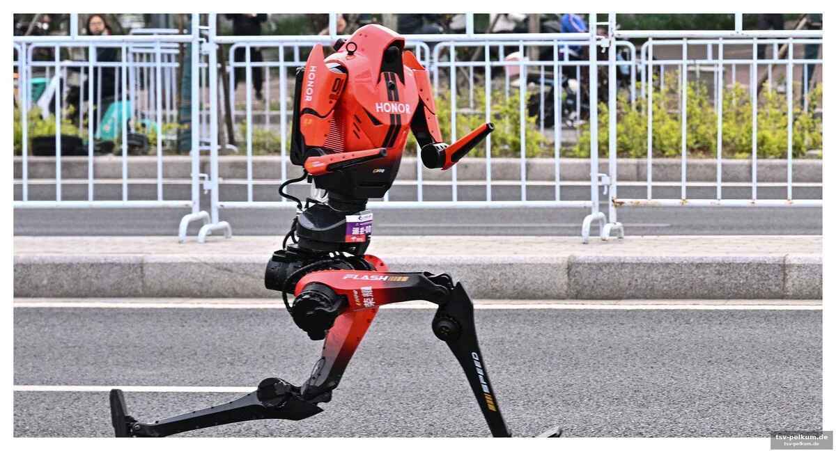 Wackelt bolt