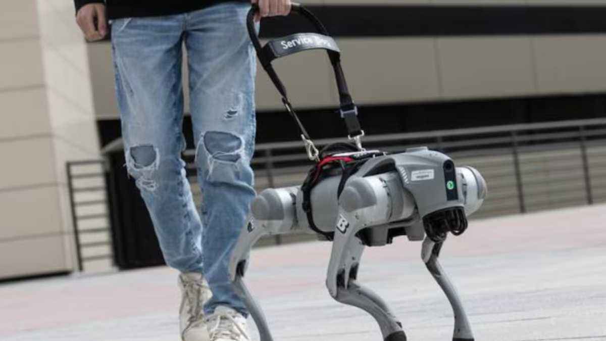 Roboterhund als blindenhilfe: gespräche statt bellen!