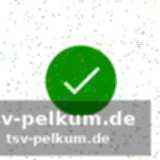Wood’s einfluss auf die lions