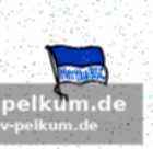 Voreiliger willkommensgruß und „torta rogel“