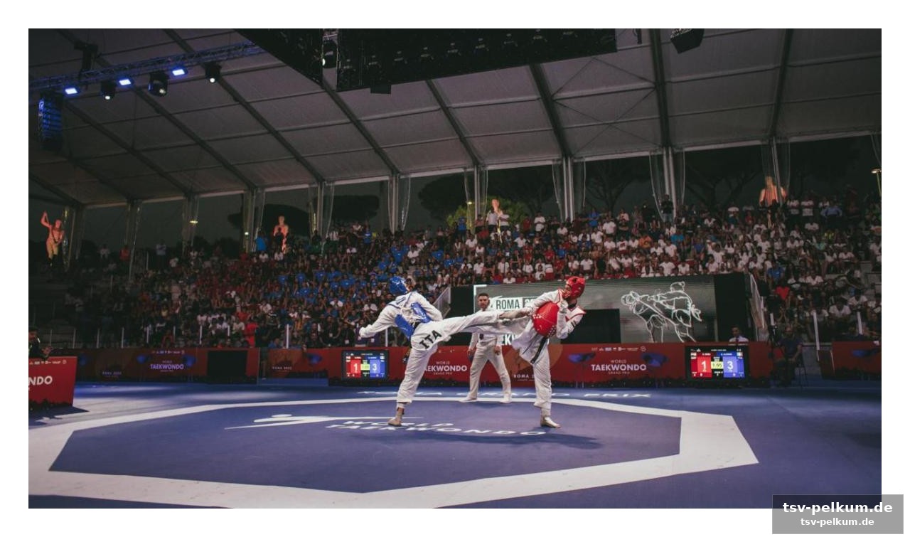 Para taekwondo, virtual taekwondo und weltklasse-athleten