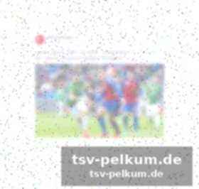 Heymans einfluss und punks wwe-ausstieg