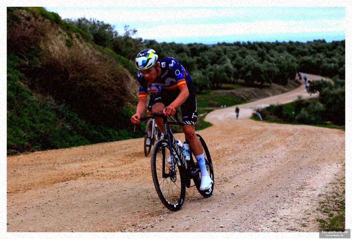 Wellens