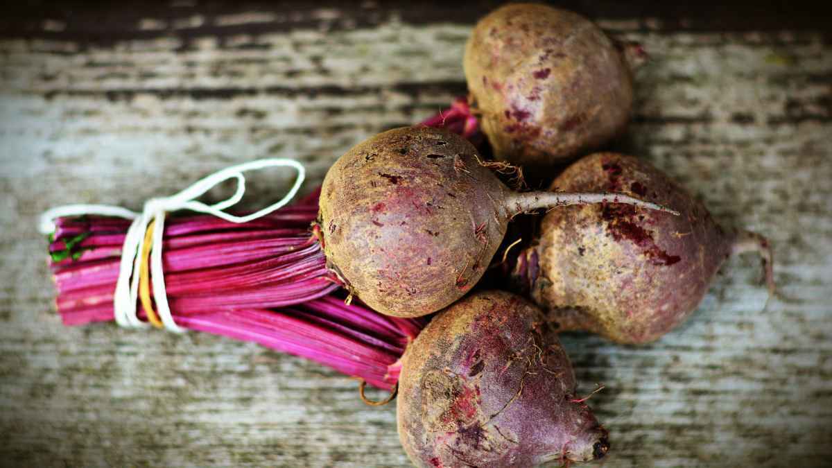 Rote bete: der power-booster für sportler und gesundheit!