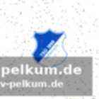 Akpogumas karriere bei der tsg