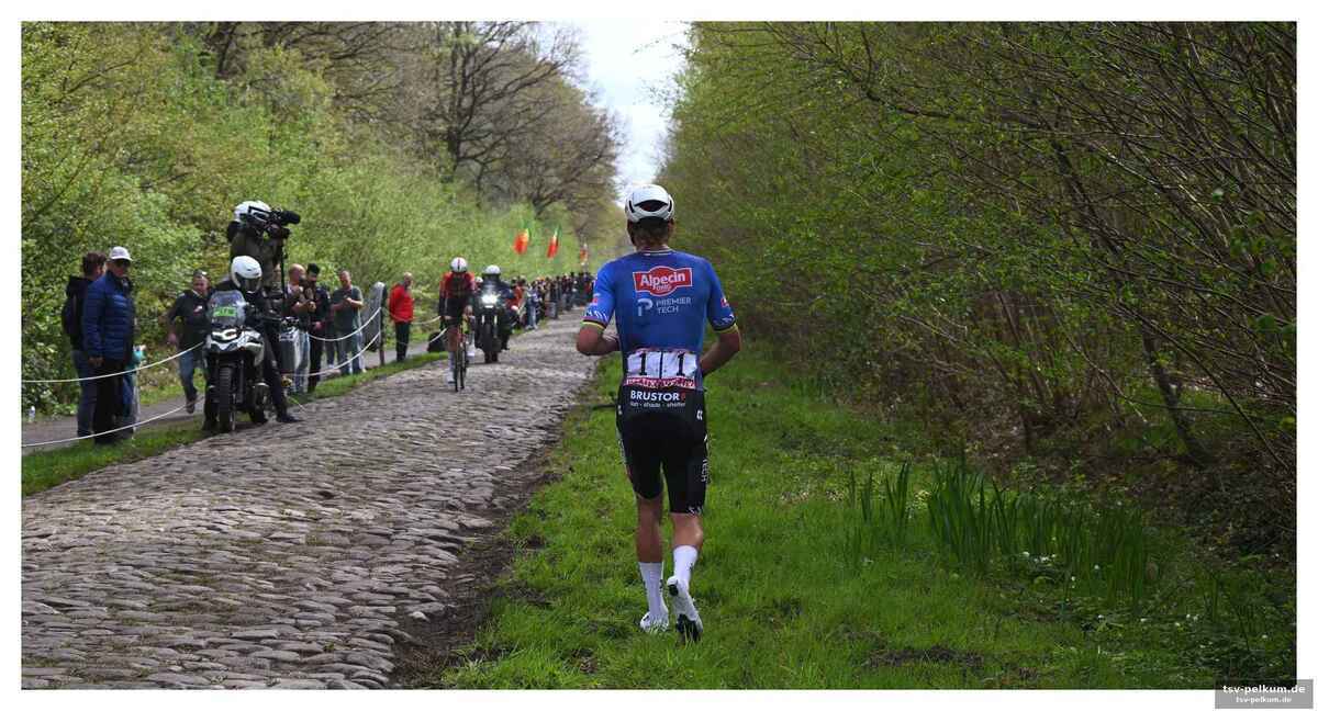 Van der poel im wald von arenberg am boden
