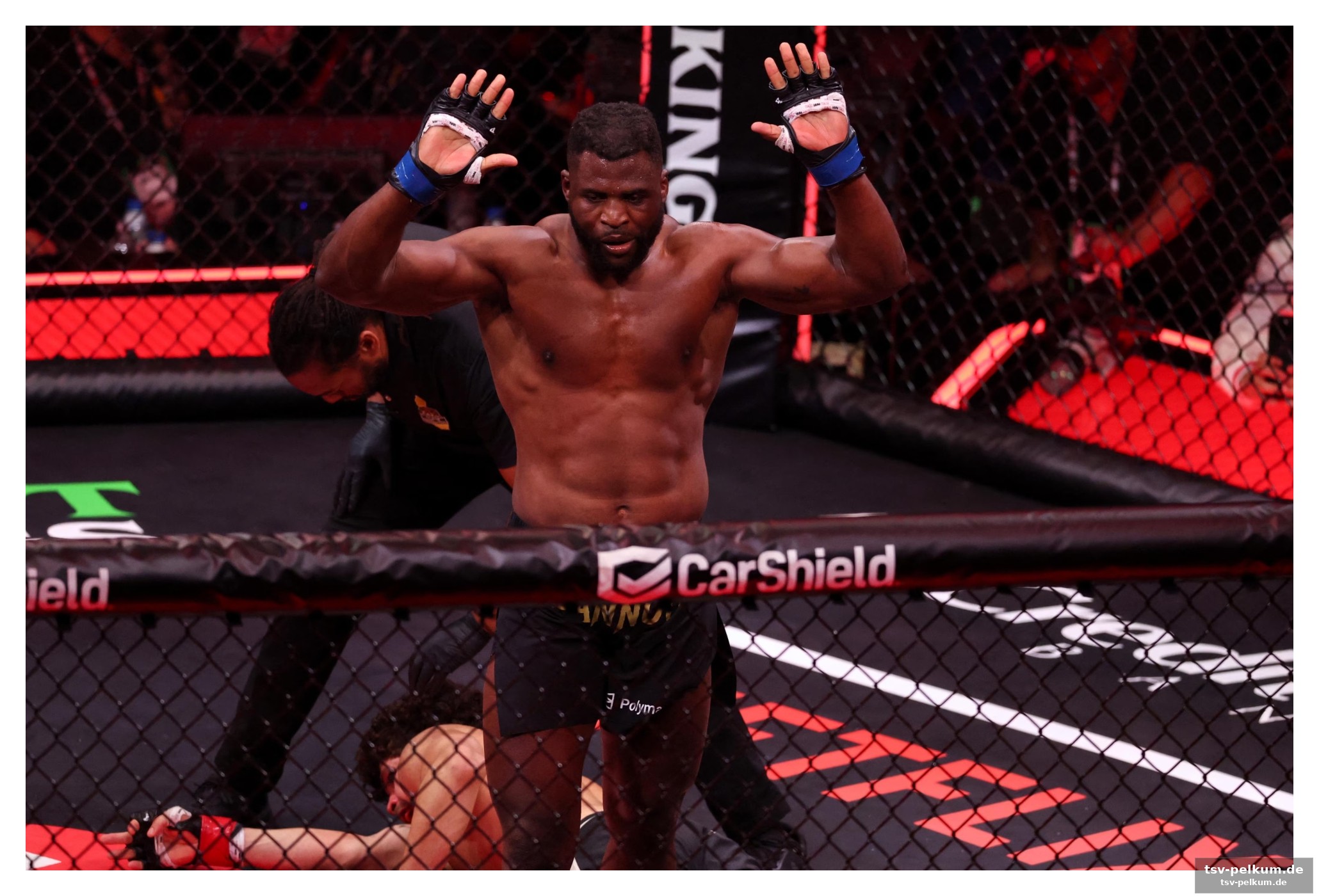 Ngannou fordert jones heraus: das duell der schwergewichte