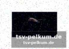 Zielgruppe und einsatzbereich