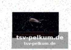 Leistung und reichweite – was können wir erwarten?