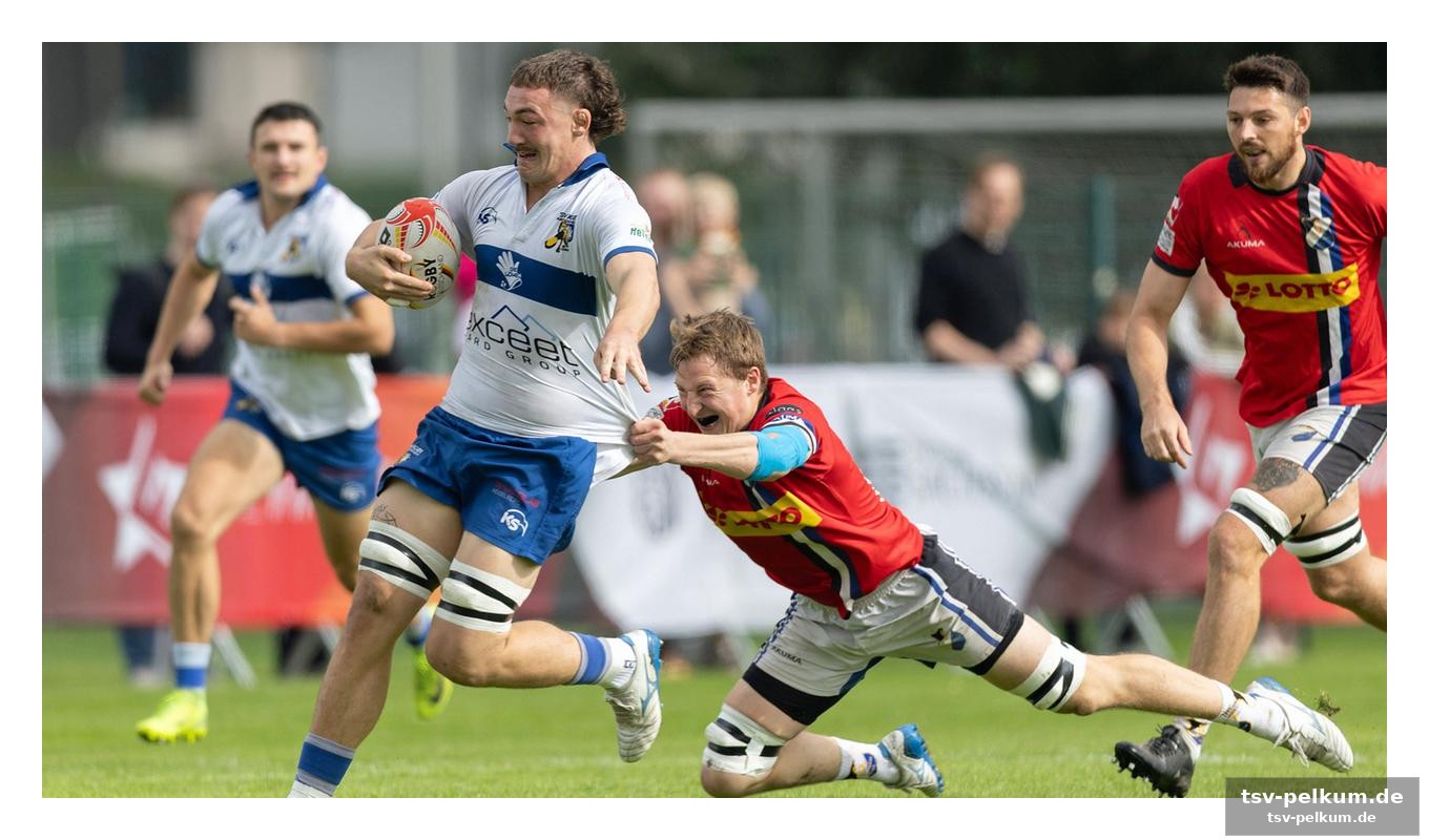 Der spielplan und die austragungsorte