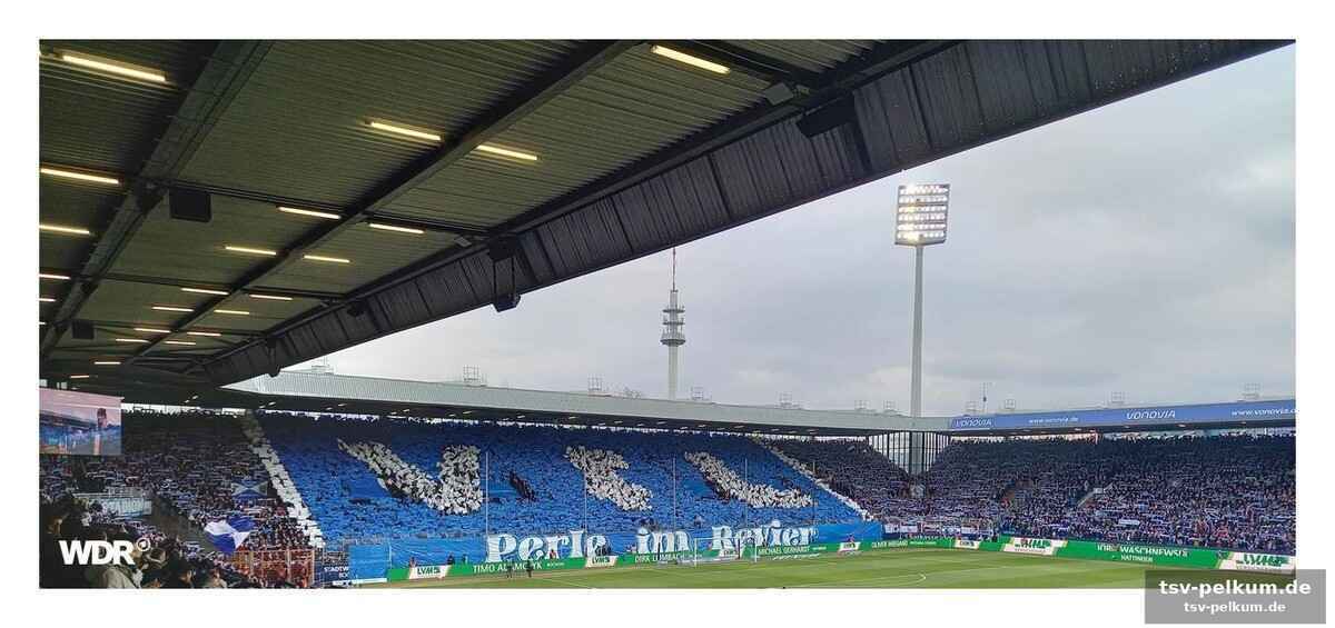 Mehr als nur sitzplätze