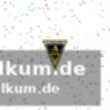 Flexibler offensivspieler
