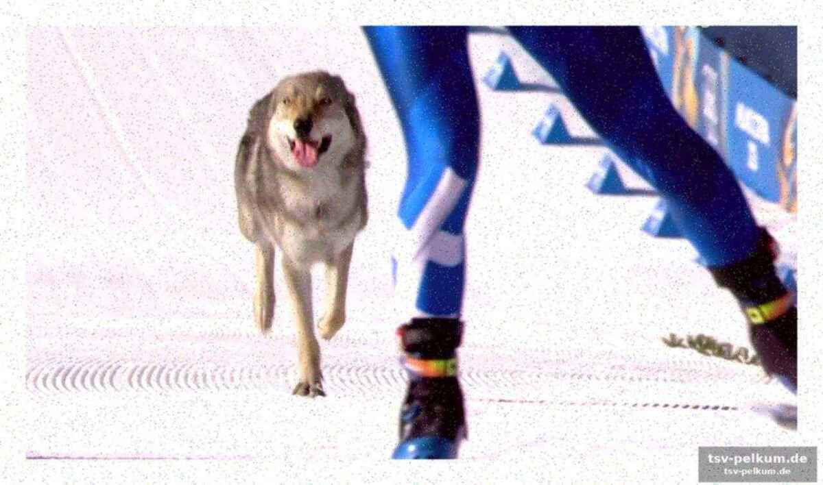 Knapper sieg im zielsprint