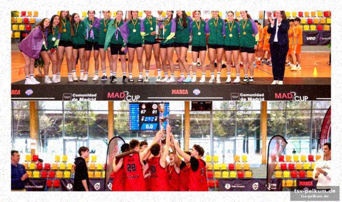 16 Teams, ein elite-tableau, null langeweile