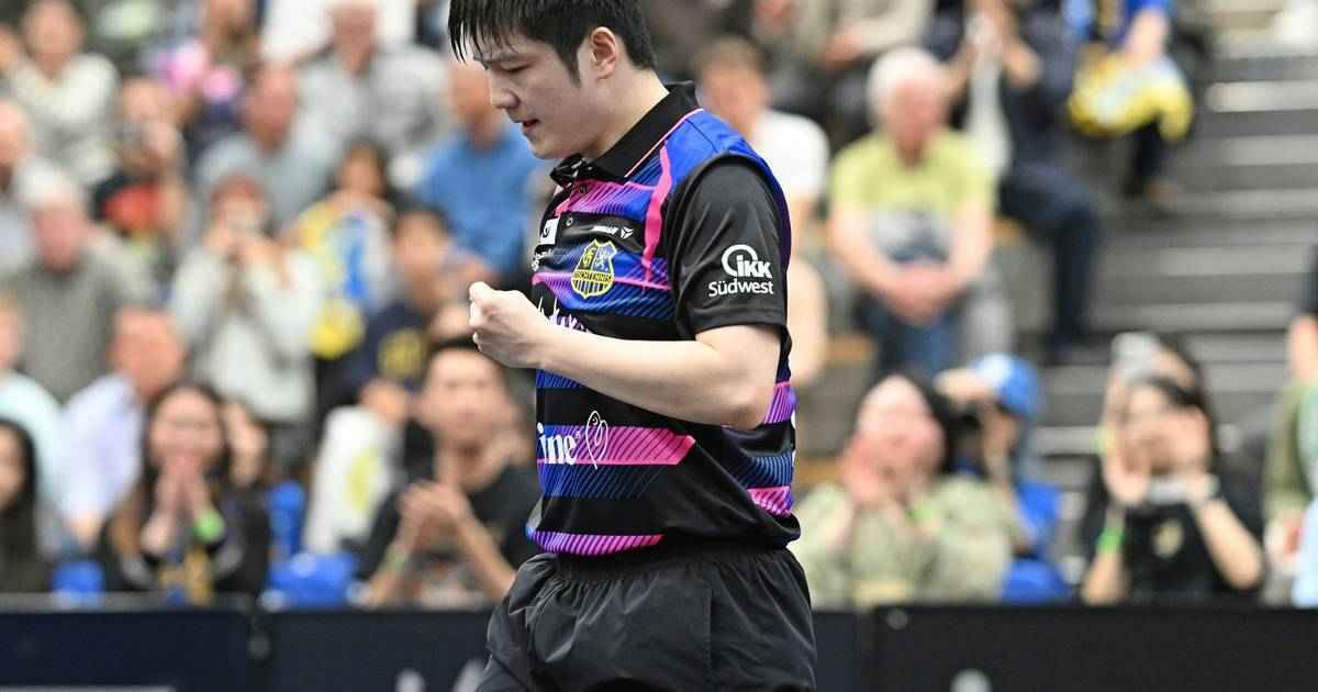 Saarbrücken dominiert: zhendong führt team zum halbfinalerfolg!