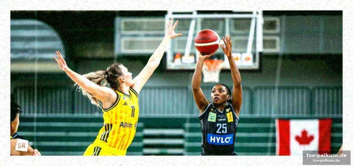 Souveräner weg zum final four: die bisherigen erfolge