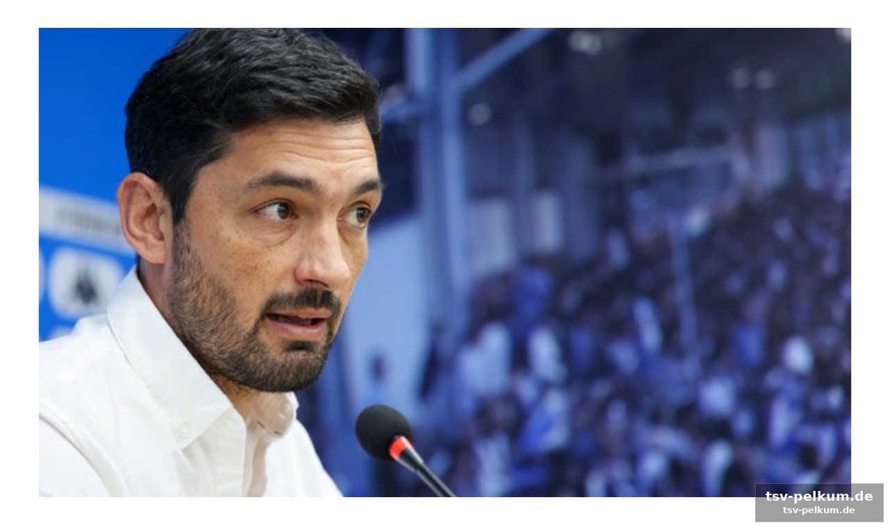 Zorn über zaragoza und fuolis verhalten