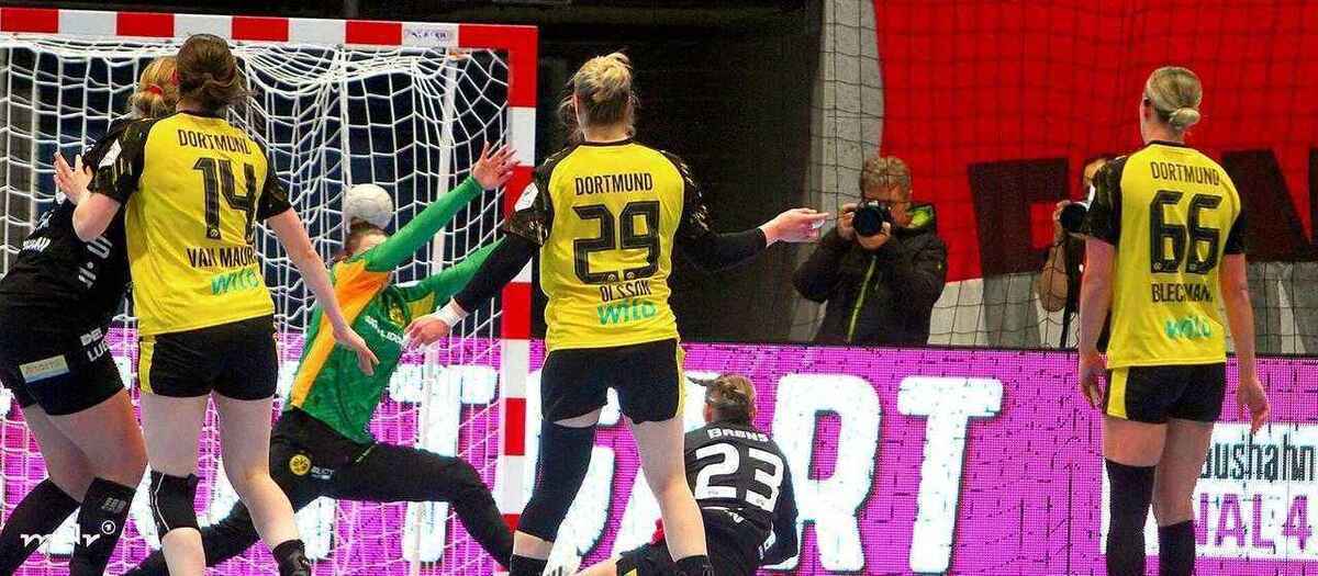 Sachsen zwickau knapp am sensationellen coup gescheitert – bvb siegt mit zittern!