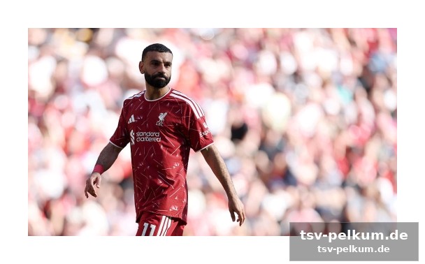 Der einfluss des agenten: ramy abbas