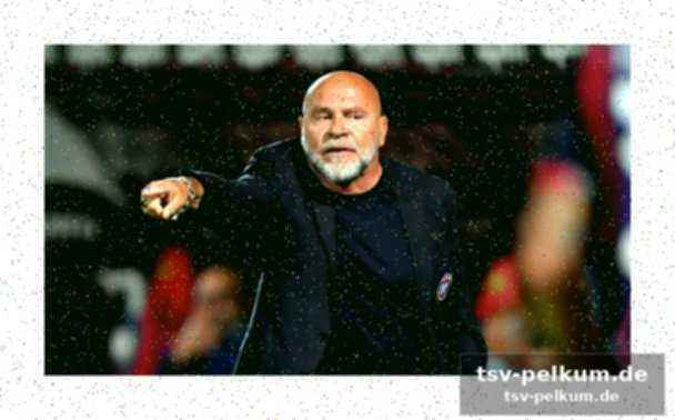 Serse cosmi als neuer trainer gehandelt