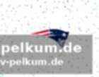 Neuanfang bei den vikings und seahawks