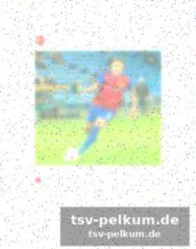 Ein deutsches talent mit serbischen wurzeln