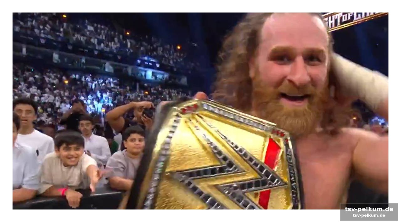 Summerslam: die neue herausforderung für zayn