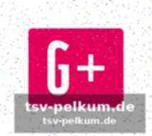 Die var-diskussion – rückkehr zur vergangenheit?