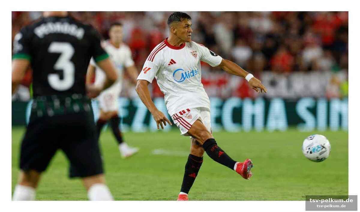 Verlust der rolle: sánchez