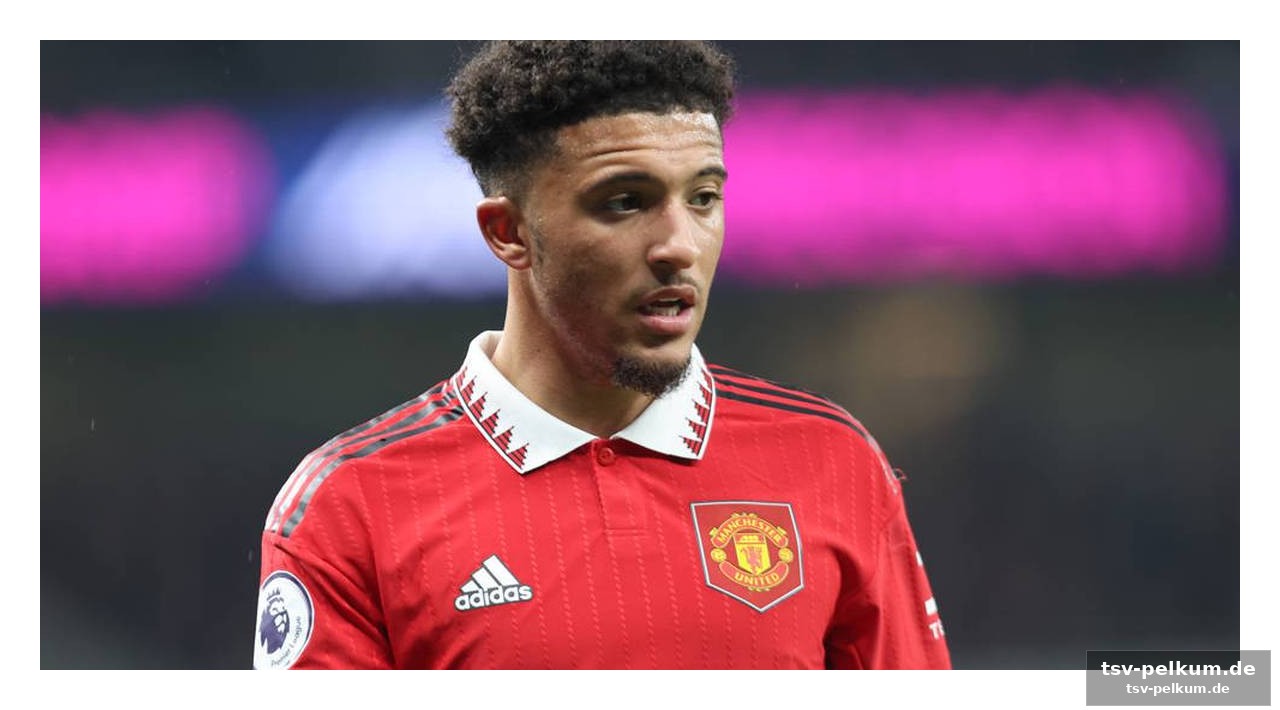 Der teuerste flop? sancho