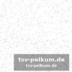 Die nacht, in der neymar zu curry wird