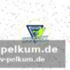 Trainer goldbach lobt mustafics führungsqualitäten