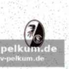 Hoffnungsschimmer: lienhart und kübler auf dem weg der besserung