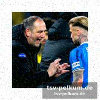 Die zahlen sprechen für freiburg