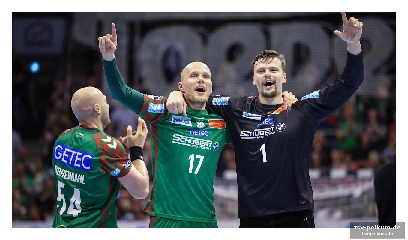 Dramatischer abschied von den handball-helden