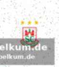 Spielinfo: scm vs. gog svendborg tgi