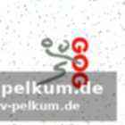 Weitere informationen zur champions league