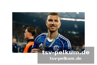 Arena-umbau und stabile ticketpreise