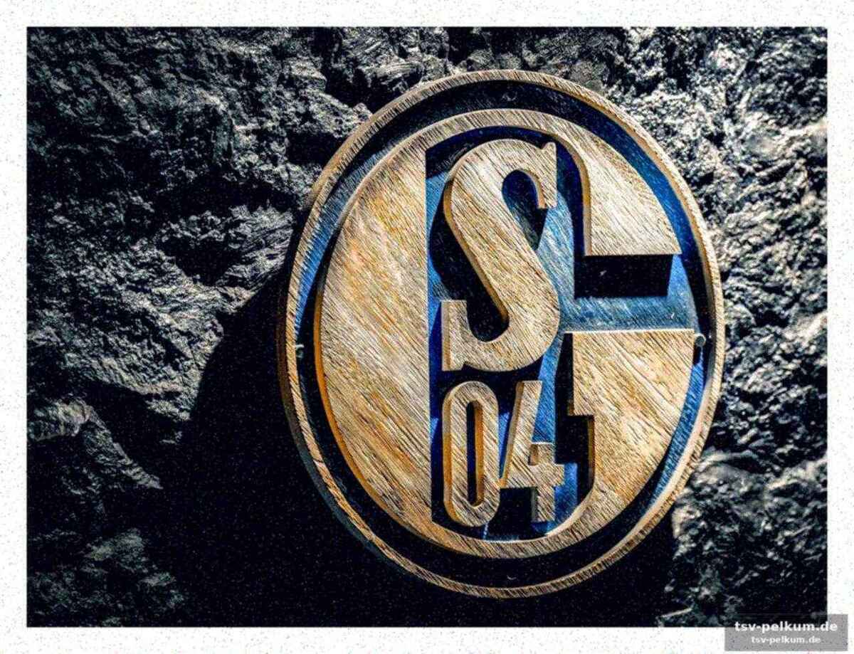 Fokus auf nachwuchsförderung und spielertransfers